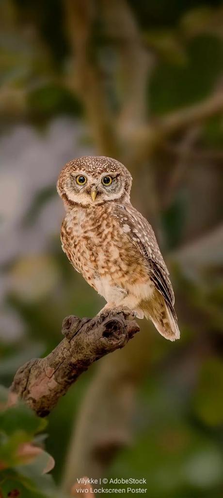 5247ed54-30fc-44eb-ad3f-0f7ce449078e