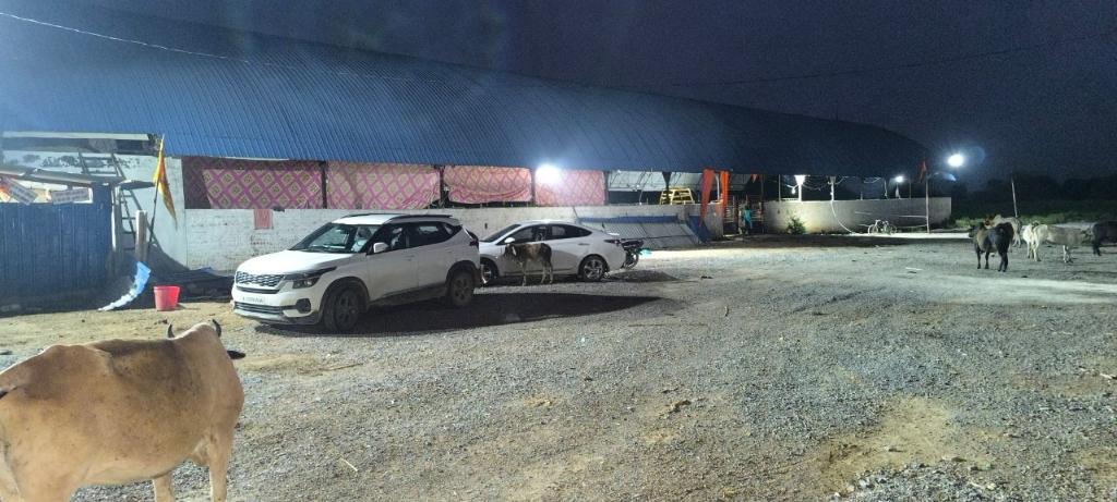 e88f77d1-3b47-4ac0-8e72-3e0c0aee8130