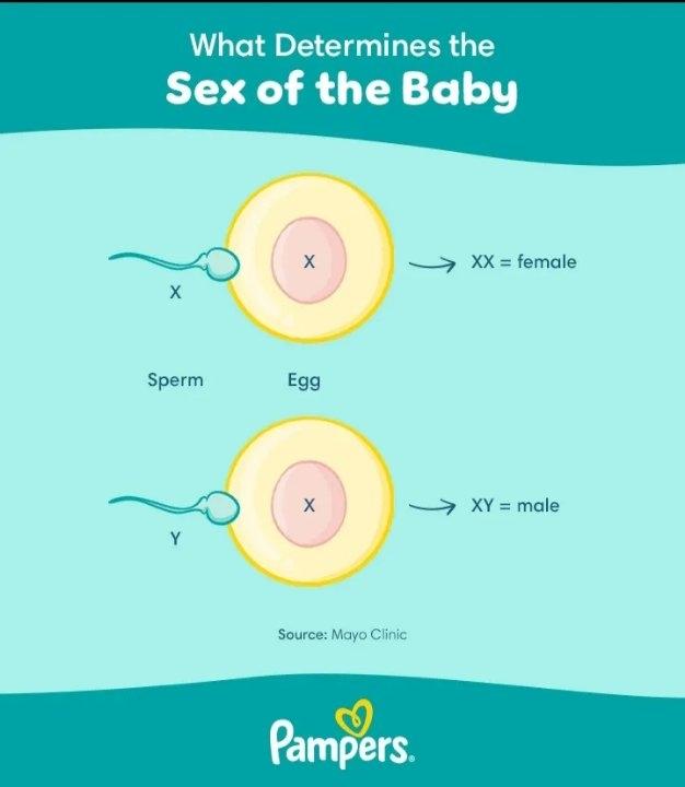 147df9da-4ae3-4f25-910b-ab0d15d7b3b7