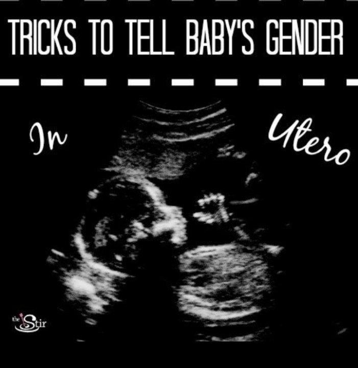 959af628-8021-4ae5-8d45-7138c7d70f67