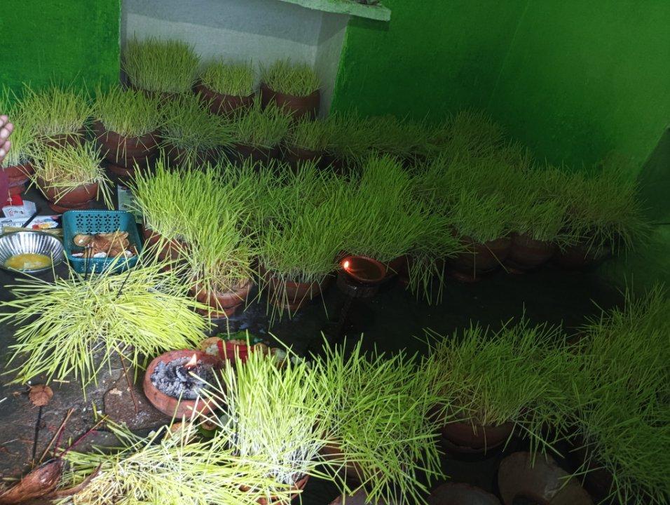 ca572edd-2acf-4087-99f7-7e6150358eca