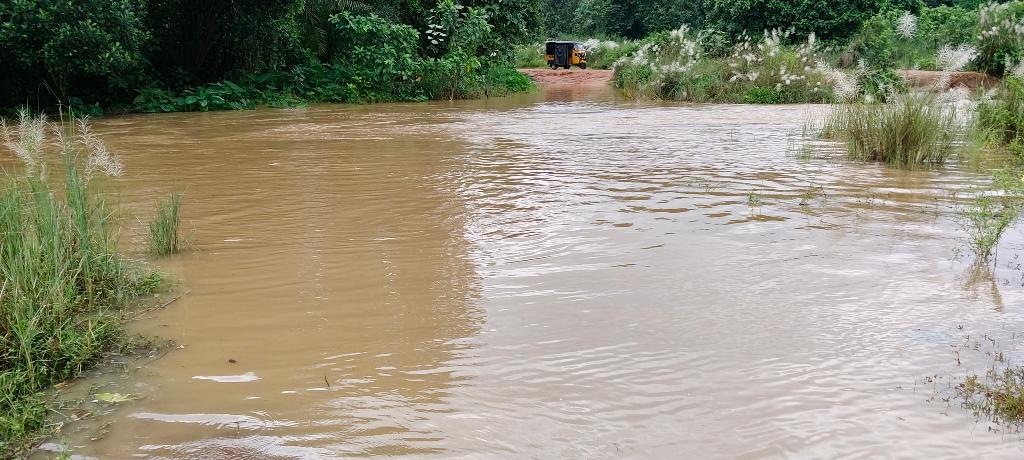 2c5024cd-b647-46e0-9362-ceb910377bdb