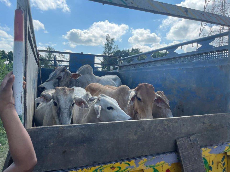 9140dd38-0717-47a9-8177-338df61afd85