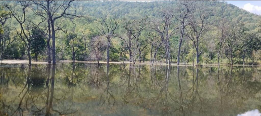 f68b93f2-4977-42d3-a0d7-709ef637f017