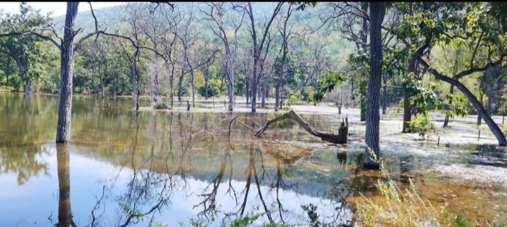 9d3c03d6-70ad-41c8-8ec2-66d968cf1c61