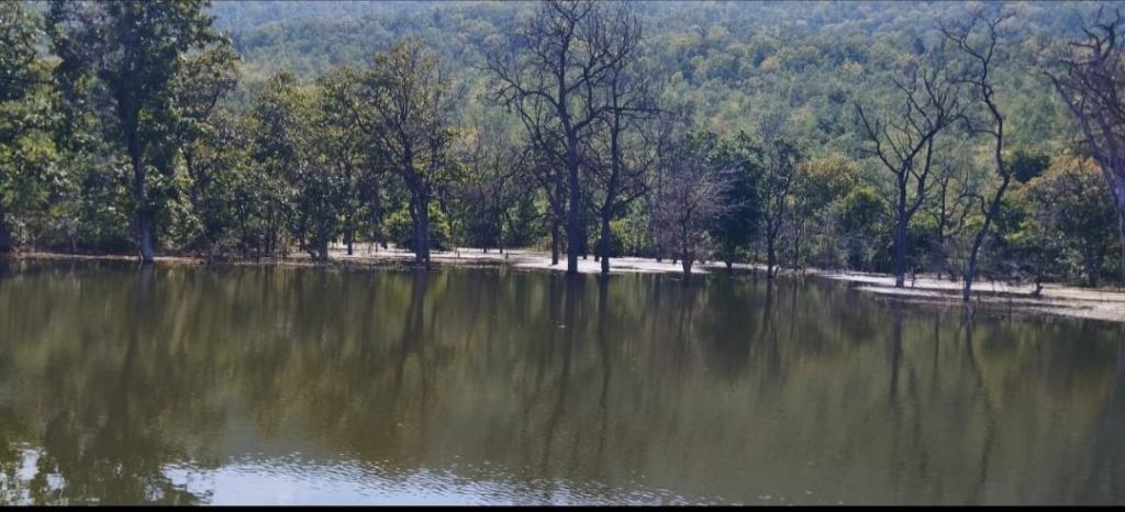 ccf332e7-89c7-48a9-ac7d-9d5f54363d28