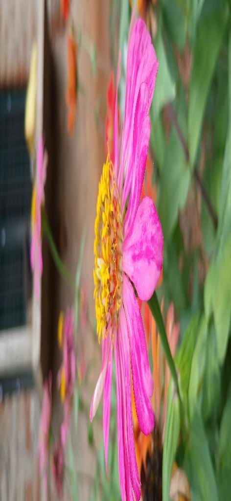 e8b69177-c841-414a-98f5-473375cd2189