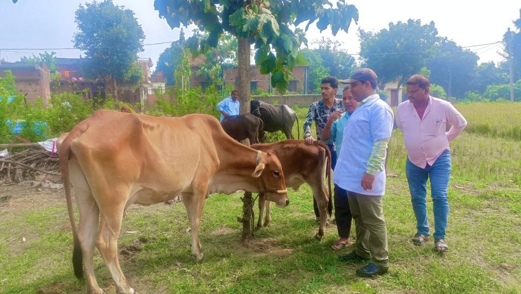 02ed654e-ed6a-4419-ac80-905bc653d692