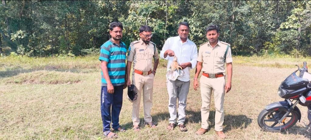 a4a2951c-18c1-43e6-9347-99db4a5bf599