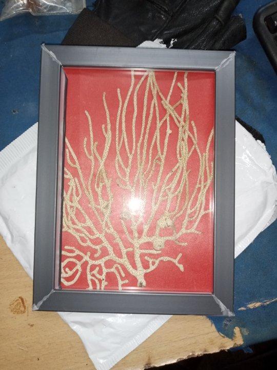 3da392a5-b3e1-4bf0-bf71-99f4b952e7ef