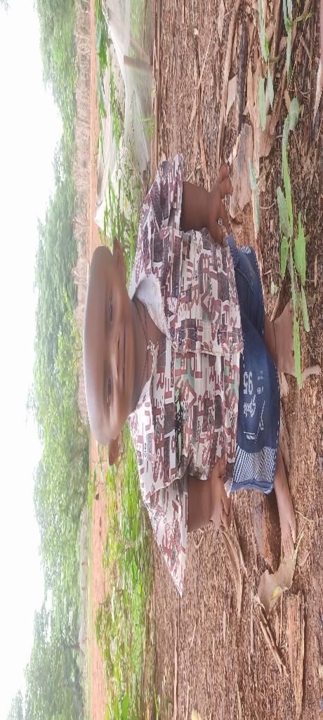 eb73f516-bb4b-44d9-883f-1146bc251293