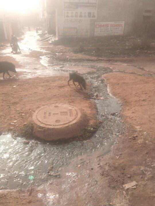 351f3030-eb2f-44ed-a9b9-2adeb5d819fe