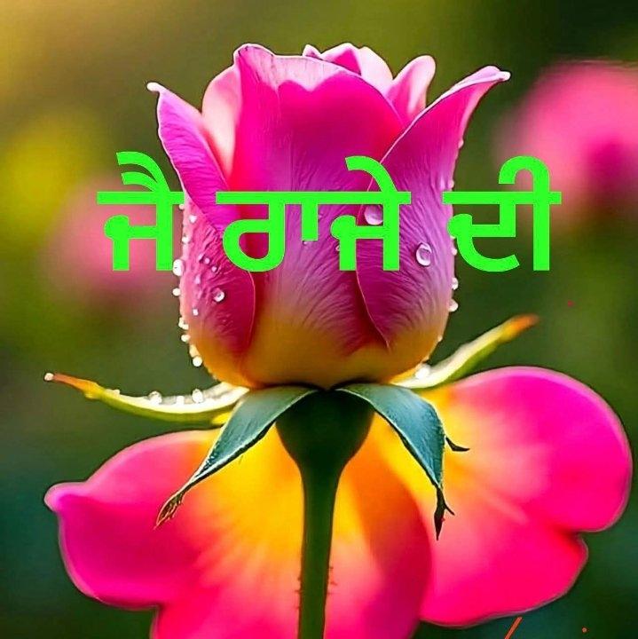 abc8128b-4c93-45cf-8059-788d45e746ca