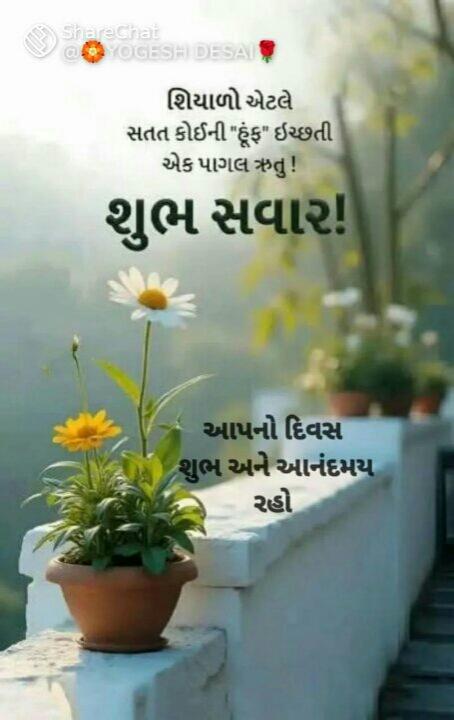 5aa27537-4ede-4e63-82f4-0169e01dbfac