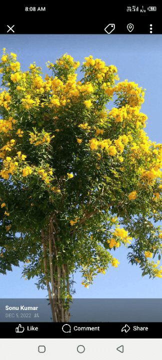 5b7e1c97-9591-4aa2-924e-0bb1d80f6189