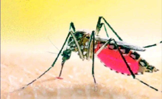 fd059e09-012c-439c-9569-eaa21e9daa7f