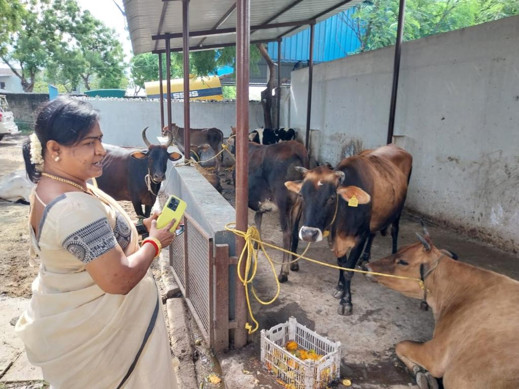 99d18018-9224-4f92-a7ba-c8eba3211519