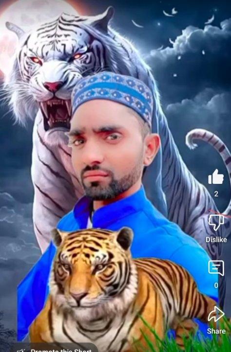 0728bf9e-0d38-41f4-998f-ef1392834fdb