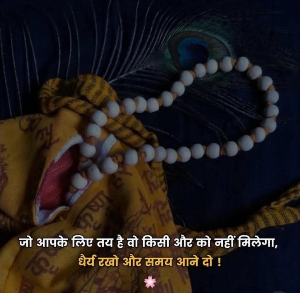 9d8b31a0-46d9-4d2f-82aa-dabe9f5ba88b