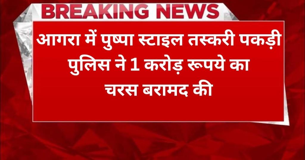 a0c9258c-c67d-4f8a-af0f-d03ec8c9da4a