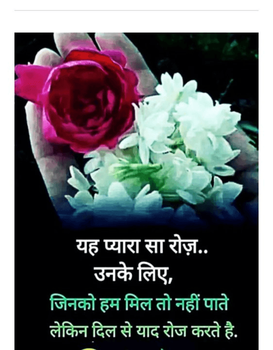 19845f9e-9cfd-4883-a29a-8d999c1d774c