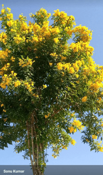 59f2aae9-7021-4736-abae-672b4d55c4f8