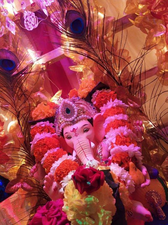 3e921837-23a3-4639-a31a-d676d9cf4b3c