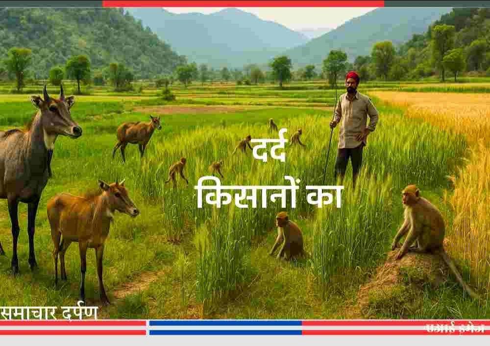 8e33d082-d15b-4e26-8d70-ca1c61930562