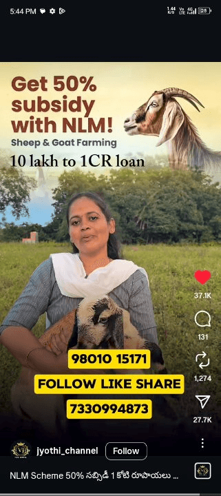 87729648-7b3c-4d99-afd7-7561ee8233d1