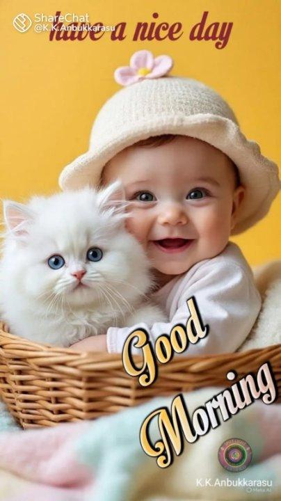 4b2e43ff-060e-4346-956f-9d804369a98b