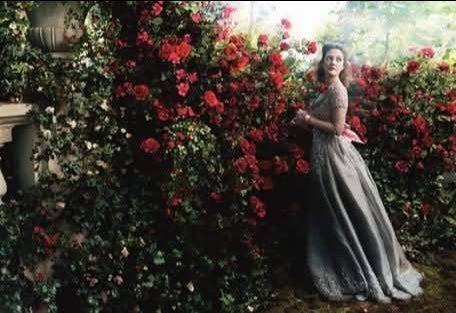 cd83fd7d-0b4d-47e8-9bde-bb5164b7734f