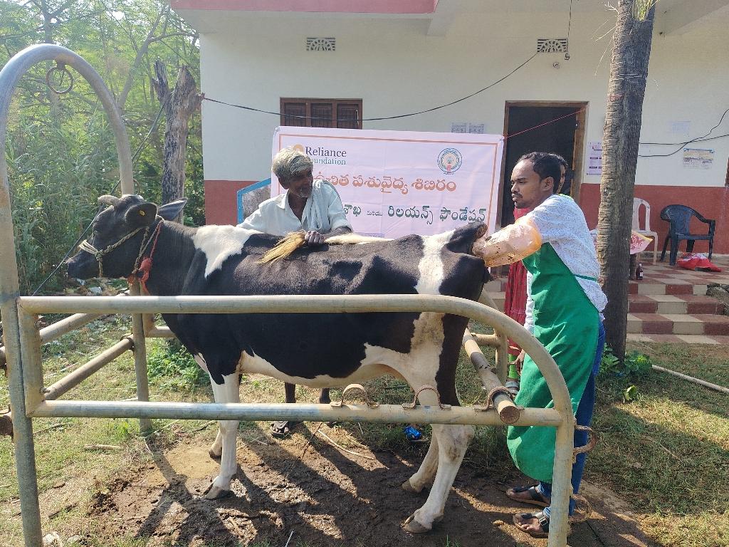 9a116be7-6f45-4d81-91e6-1e721dc999a8