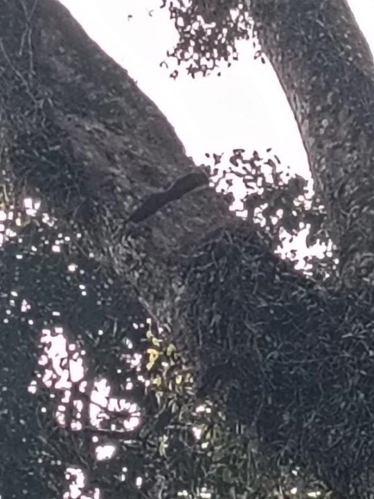 9bef6701-6d0f-4023-9767-df1f9cbde6ce