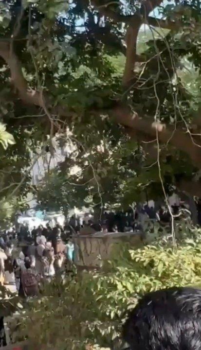 9f8c1903-cfcf-469f-b19c-ec1352434847