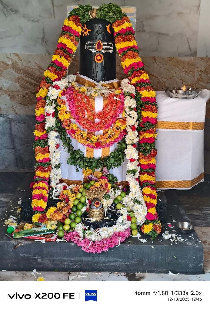 வெலக்கல்நத்தம் அருகே
உலகாண்ட ஈஸ்வரன் கோவில் கும்பாபிஷேகம்
திருப்பத்தூர், டிச. 11-
நாட்டறம்பள்ளி அருகே வெலக்கல்நத்தம் அடுத்த கிட்டப்பையனூர் கிராமத்தில் அமைந்து உள்ள சிவசக்தி ஆலயத்தில் அமைந்து உள்ள உலகாண்ட ஈஸ்வரன், உலகாண்ட நாயகி அங்காள பரமேஸ்வரி, வனபெரியாண்டச்சி, வனமுனீஸ்வரன், குபேர கணபதி, கல்யாண சுப்பிரமணியன், ஆஞ்சநேயர் ஆகிய சுவாமிகளுக்கு மஹா கும்பாபிஷேக விழா நேற்று நடைபெற்றது. நிகழ்ச்சியில் நேற்று கணபதி ஹோமம், கணபதி பூஜை, மஹாபுன்யம், வாஸ்து ஹோமம், புண்ணியவாசம், அஷ்டபந்தன பிரதிஸ்டை நடைபெற்றது. இதைத்தொடர்ந்து பல புண்ணிய நதிகளில் இருந்து கொண்டுவரப்பட்ட புனித நீர் அடங்கிய கலசம், மேள, தாளத்துடன் ஊர்வலமாக எடுத்துவரப்பட்டு, கோவில் கலசத்தில் புனிதநீர் ஊற்றப்பட்டு மகாகும்பாபிஷேகம் நடைபெற்றது. மேலும் புனிதநீர் பக்தர்கள் மீதும் தெளிக்கப்பட்டது. இதைத்தொடர்ந்து உலகாண்ட ஈஸ்வரன், உலகாண்ட நாயகி அங்காள பரமேஸ்வரி, வனபெரியாண்டச்சி, வனமுனீஸ்வரன், குபேர கணபதி, கல்யாண சுப்பிரமணியன், ஆஞ்சநேயர் ஆகிய சுவாமிகளுக்கு அபிஷேகம், அலங்காரம் செய்யப்பட்டு பக்தர்களுக்கு காட்சி அளித்தனர். இதையடுத்து பக்தர்களுக்கு அன்னதானம் வழங்கப்பட்டது. இதில் சுற்றுவட்டார பகுதிகளை சேர்ந்த ஏராளமான பக்தர்கள் கலந்து கொண்டு சாமி தரிசனம் செய்தனர். இதற்கான ஏற்பாடுகளை ஊர் கவுண்டர் செல்வராஜ் செய்து இருந்தார்.