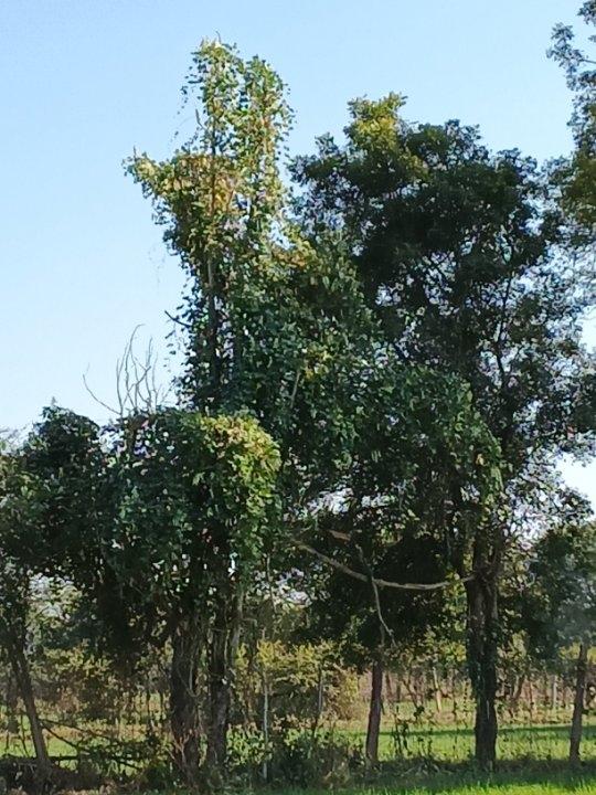 0de7dd3f-0eba-4b2a-8133-3ad1a263b2bb