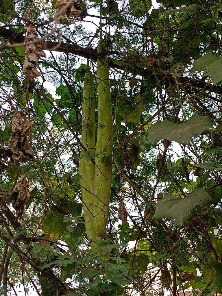 e04751cf-69eb-496a-b826-4871d405f23d