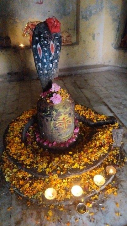 d2317b98-8a6f-4a21-99a9-5d68133b3802