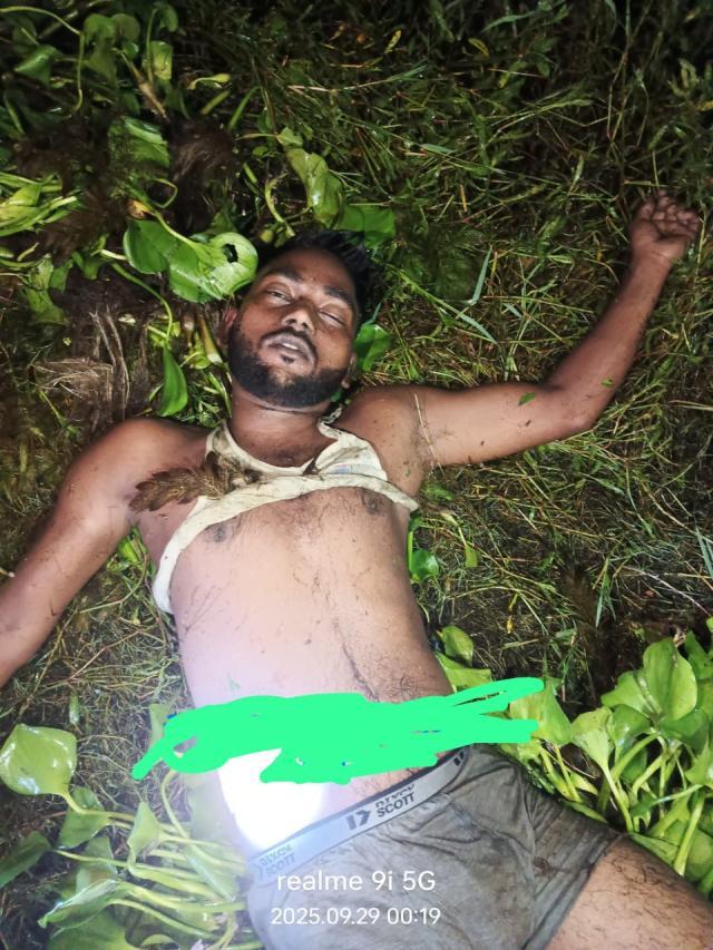 a36f1d26-543b-4086-97e1-0686b26ade6f