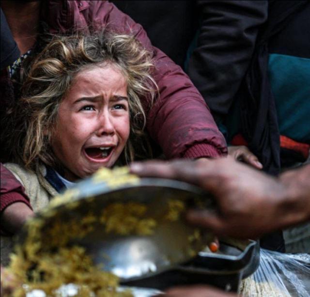 c319f264-9f67-4bc7-91c5-a714348f18c5