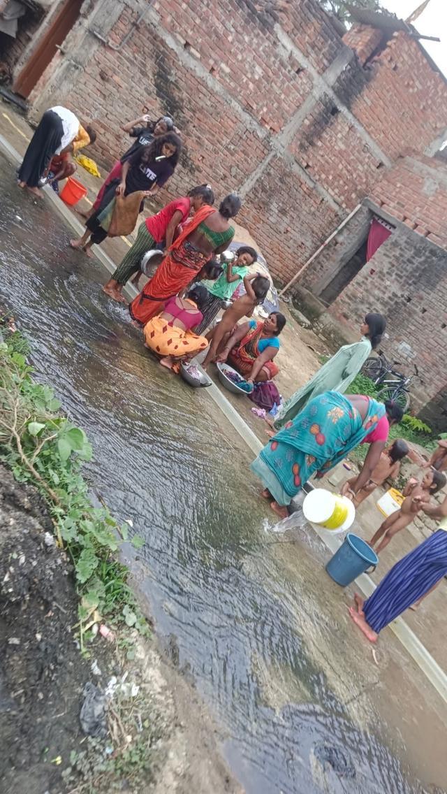 d8bf2311-4333-4034-8acf-81f1c535f387