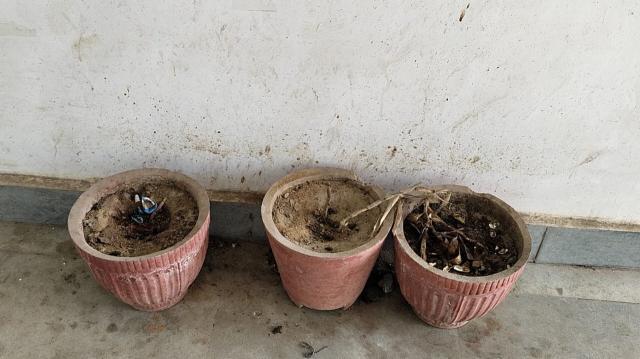 e6dc6044-5b62-4464-949b-4d0056d3d6ba