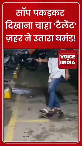 वीडियो में युवक पहले तो पैर से साँप को पकड़कर अपने ‘जिगरी टैलेंट’ का शोऑफ करता दिखा। लेकिन चंद सेकंड बाद हालात पलट गए—साँप अचानक पैर में लिपट गया और उसे बुरी तरह जकड़ लिया। युवक का चेहरा घमंड से डर में बदलते देर नहीं लगी। बताया जा रहा है कि घटना के बाद उसे तुरंत अस्पताल ले जाया गया। सोशल मीडिया पर लोग कह रहे हैं— ‘जंगल के जानवर खिलौना नहीं होते, वरना सबक ऐसे ही मिलता है।