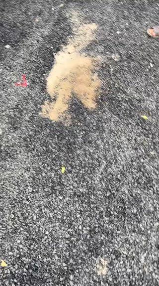 सुल्तानपुर के धरौली गाव के सबसे घटिया काम किया गया