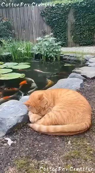 Post by @PappuKumar-ky6qb you tube my channel