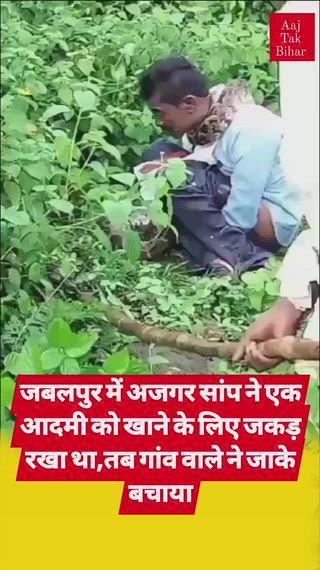 अजगर ने युवक को जकड़ा, निगलने की कोशिश, VIDEO:जबलपुर में पीड़ित चिल्लाया; ग्रामीणों ने अजगर को तलवार से काटकर बचाई जान
जबलपुर1 वर्ष पहले
जबलपुर में करीब 12 फीट लंबे अजगर ने एक युवक को जकड़ लिया। उसे निगलने की कोशिश की। युवक ने पूरी ताकत लगाकर अजगर की पकड़ से छूटने की कोशिश की। जब सफल नहीं हो सका तो जोर-जोर से चिल्लाया। इसके बाद ग्रामीणों ने अजगर को मारकर युवक को बचाया।