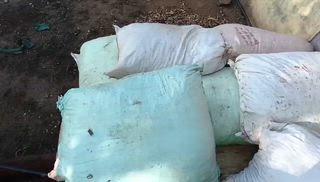 जंगल में एकत्रित की गई रुपए लाख रुपए कीमत की कुरेठा की छाल जप्त
शाहाबाद। उप वन संरक्षक बारां विवेकानंद माणिक्य राव बड़े के आदेश की पालना में चलाए जा रहे अभियान के तहत क्षेत्रीय वन अधिकारी शाहाबाद मोहम्मद हफीज के द्वारा गठित गस्ती दल ने नाका बीलखेड़ा डांग वन क्षेत्र कुंडा कोटरा से अज्ञात व्यक्ति के द्वारा जंगल में एकत्रित करवाए गए कुरेठा की छाल को जप्त कर कार्यालय नाका बीलखेड़ा डांग परिसर मे रख कर 
राजस्थान वन अधिनियम 1953 की धारा 32,33 के तहत मामला दर्ज किया है नाका प्रभारी बीलखेड़ा डांग मुकेश सहरिया के द्वारा आगे की कार्रवाई की जा रही है। लगभग डेढ़ क्विंटल बेशकीमती कुरेठा की छाल है जिसकी अनुमानित कीमत एक से डेढ़ लाख रुपए बताई जा रही है।