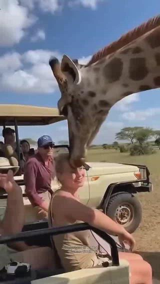 RAJODA KE INVERTER BATTERY CHORI HO GAYA