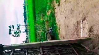 ଖେଳ ଚାଲିଲା ବେଳେ ପଡିଲେ ଧରା