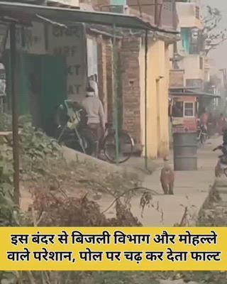 Post by भगाराम देवासी